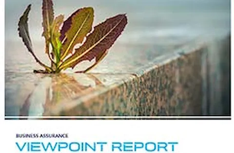 ViewPoint report