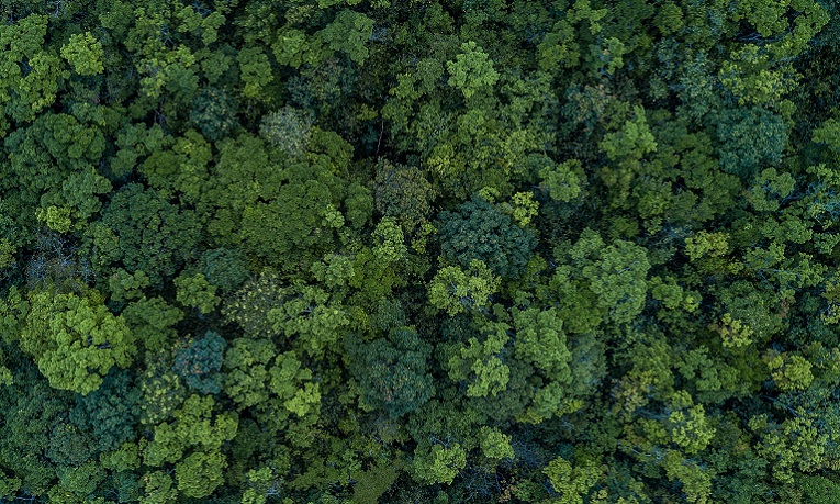 Advising customers on ESG and sustainability