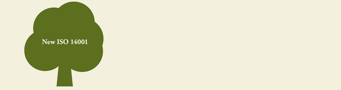 The new ISO 14001