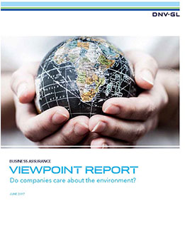 ViewPoint report